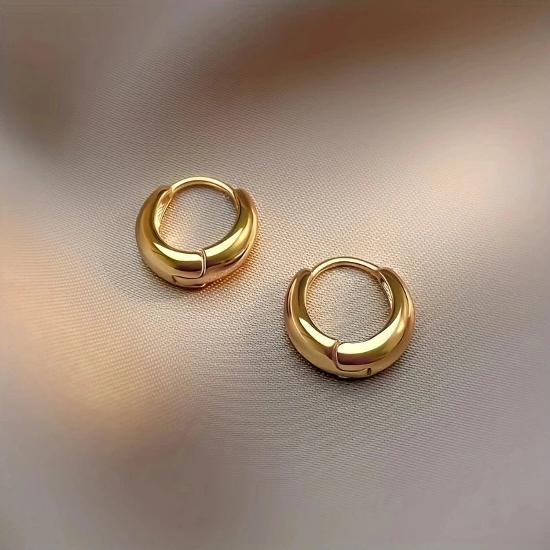 Brincos de argola franceses hipoalergênicos elegantes de aço inoxidável, design retrô sexy confortável, presentes de natal para mulheres da moda, 2 peças