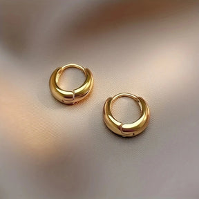 Brincos de argola franceses hipoalergênicos elegantes de aço inoxidável, design retrô sexy confortável, presentes de natal para mulheres da moda, 2 peças
